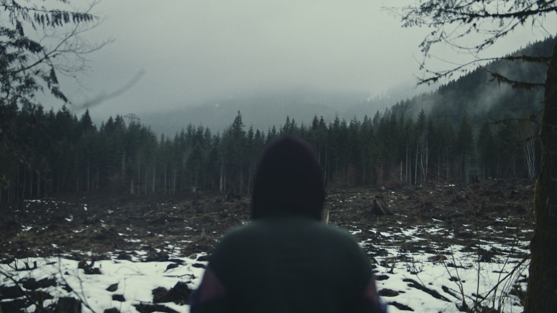 A lone figure faces a snow-dusted forest clearing under low mist